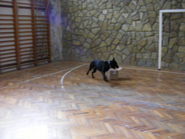 photo33.jpg