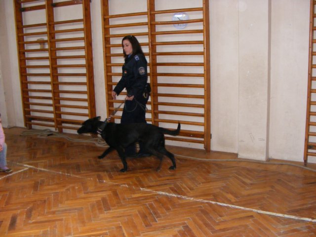 photo35.jpg