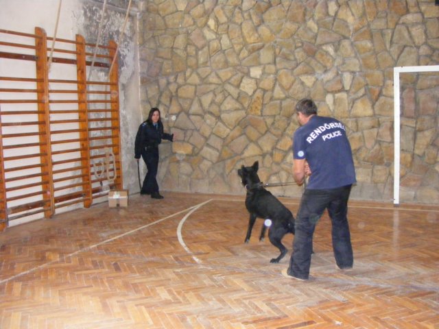photo38.jpg