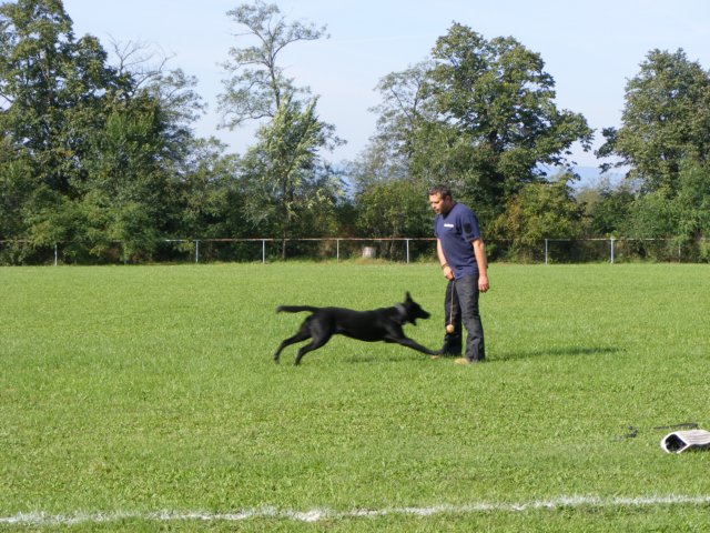 photo41.jpg