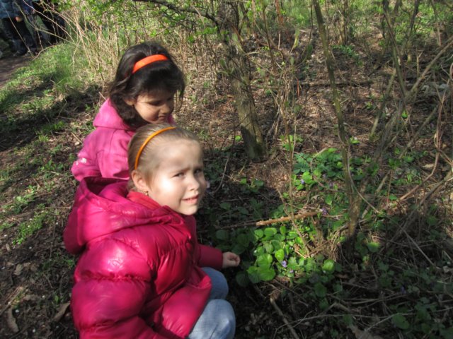 photo29.jpg