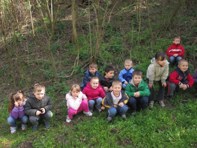 photo39.jpg