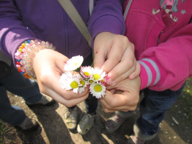 photo42.jpg