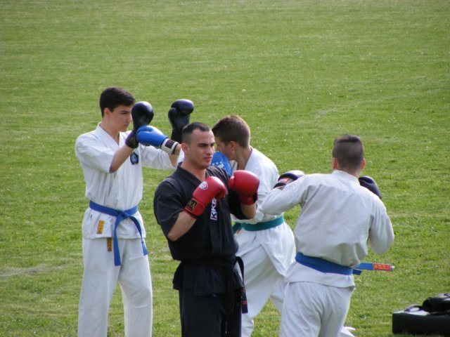 photo81.jpg
