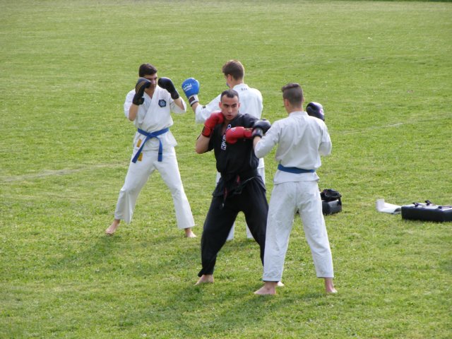 photo84.jpg