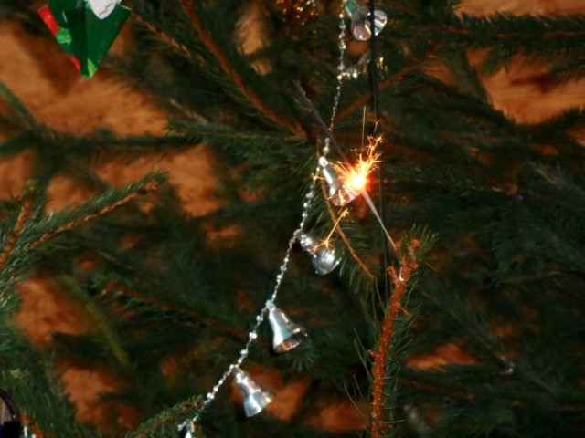 photo35.jpg