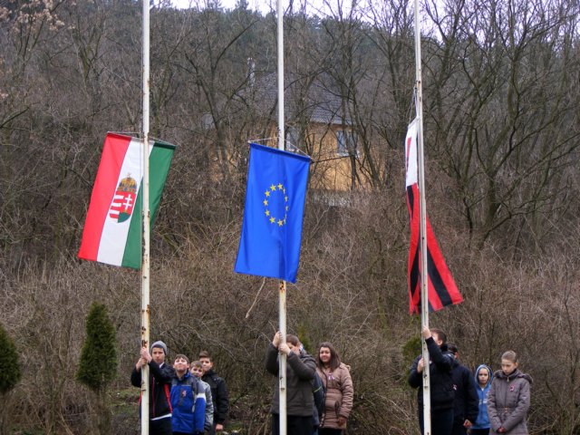 photo46.jpg