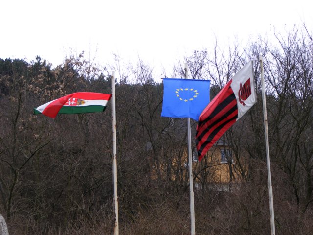 photo48.jpg