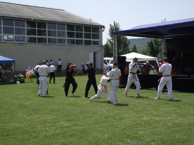 photo65.jpg