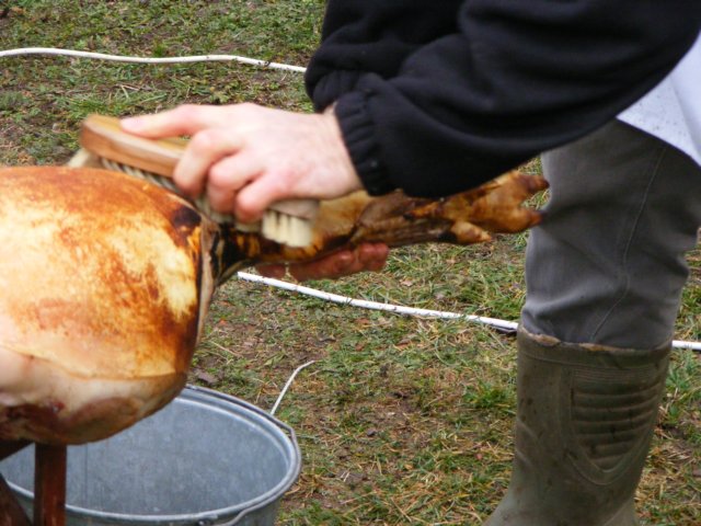 photo106.jpg