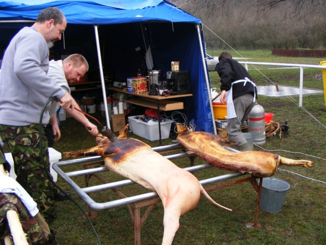 photo107.jpg