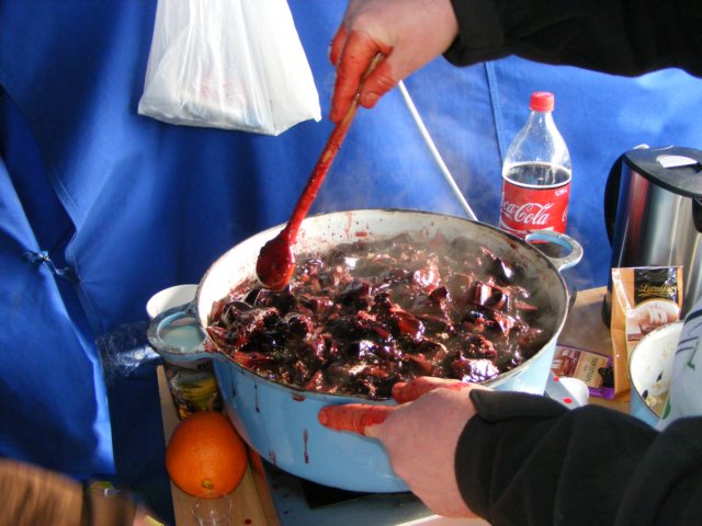photo119.jpg