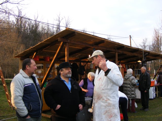 photo161.jpg