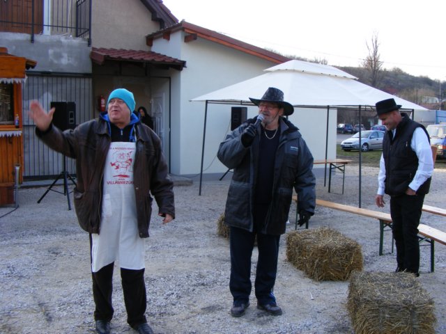 photo240.jpg