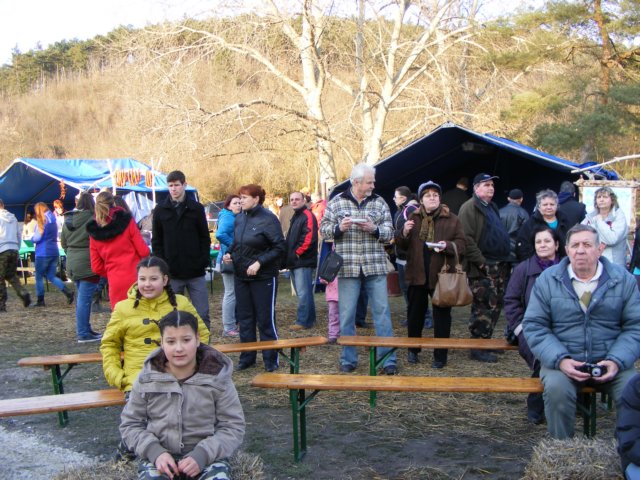 photo241.jpg