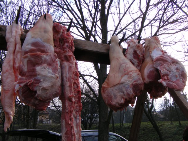 photo40.jpg