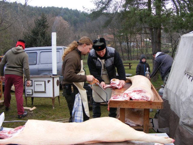 photo51.jpg