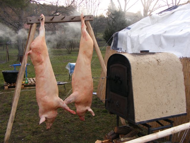 photo89.jpg