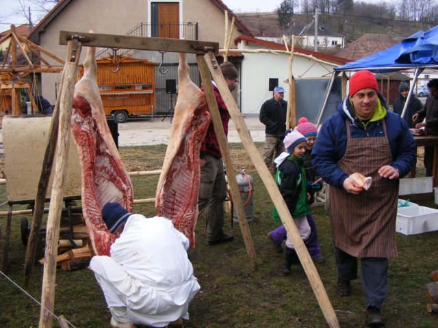 photo93.jpg
