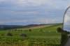 photo169_small.jpg