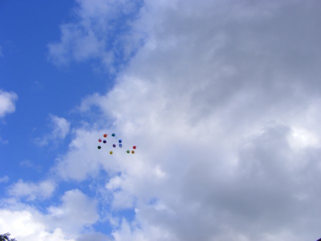 photo60.jpg