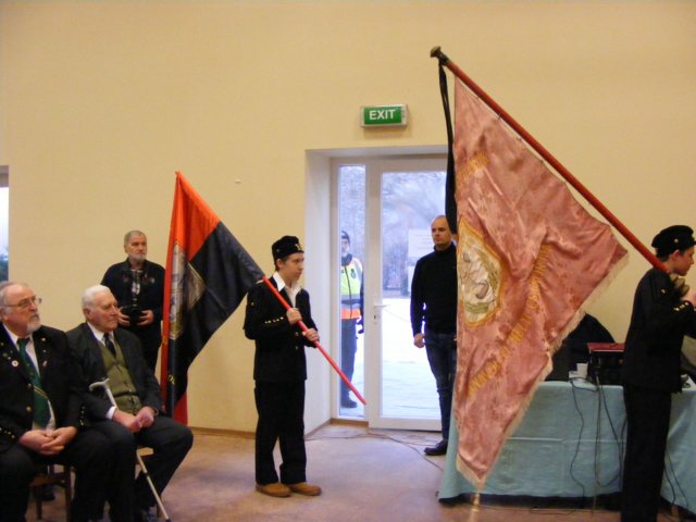 photo46.jpg