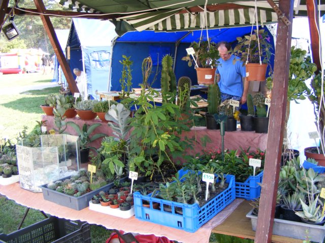 photo33.jpg