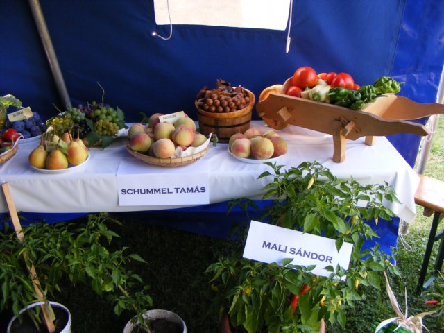 photo42.jpg