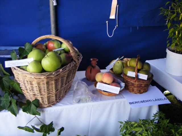 photo46.jpg