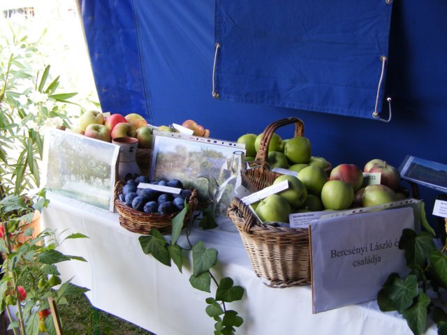 photo47.jpg