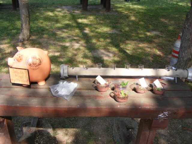 photo61.jpg
